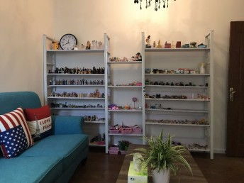 重慶專業(yè)心理咨詢師介紹及收費標準